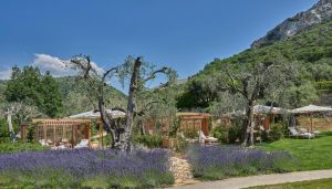 Château Saint-Martin & Spa